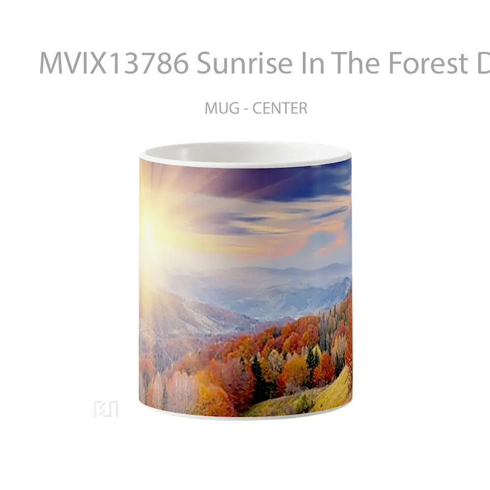 Mug Sunrise In The Forest During The Autumn Gelas Pemandangan Alam