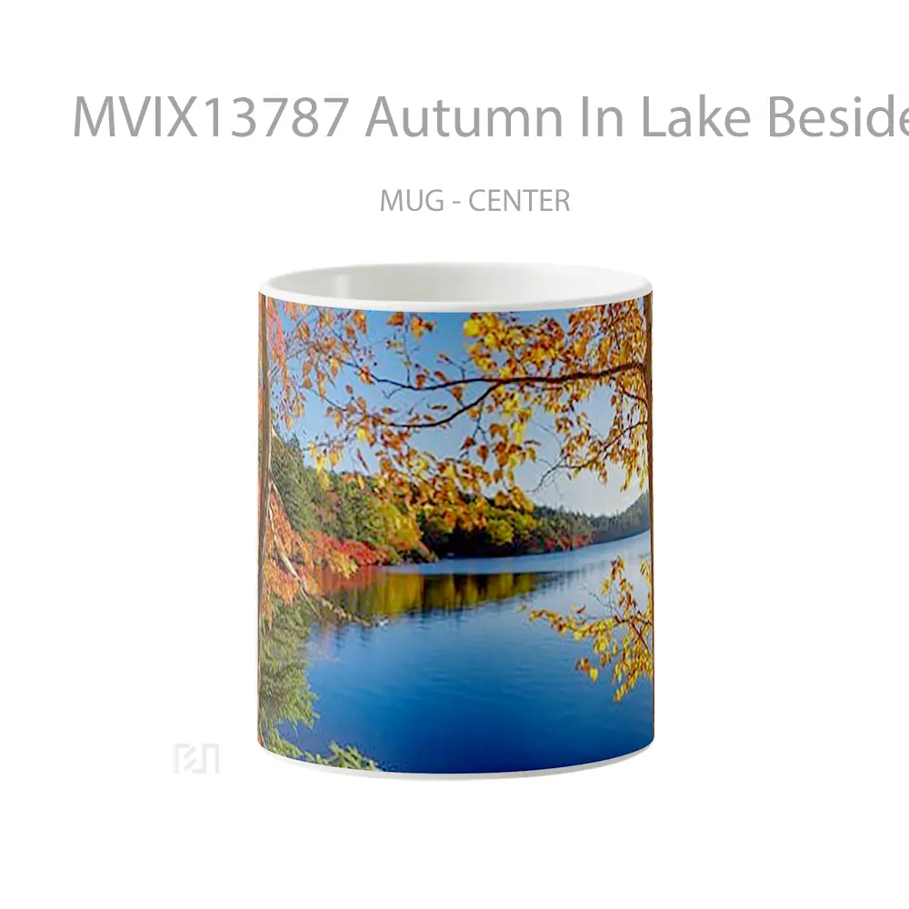 Mug Autumn In Lake Beside The Forest Gelas Pemandangan Alam