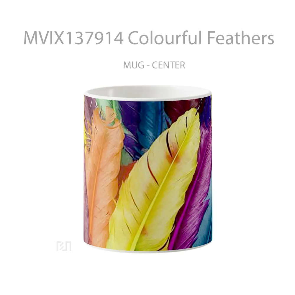 Mug Colourful Feathers Gelas Keramik Unik