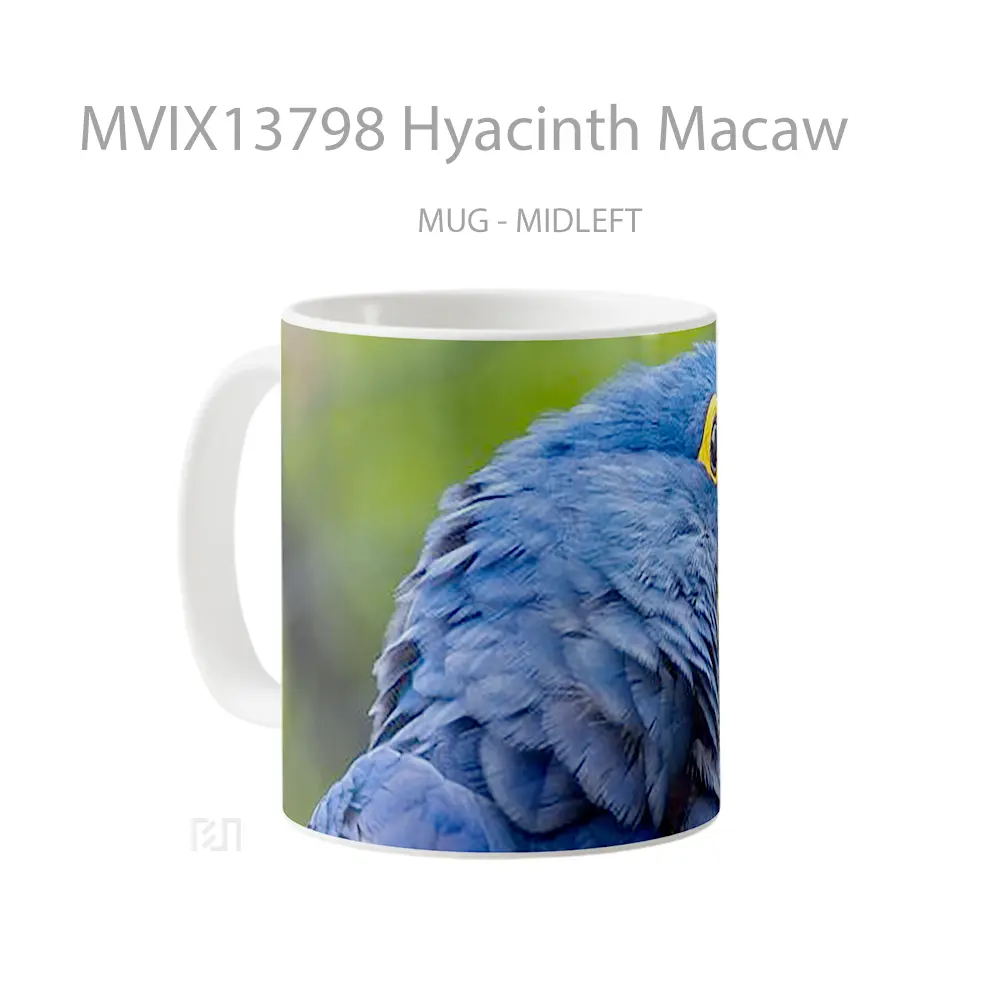 Mug Hyacinth Macaw Gelas Keramik Unik - All-side / Desain