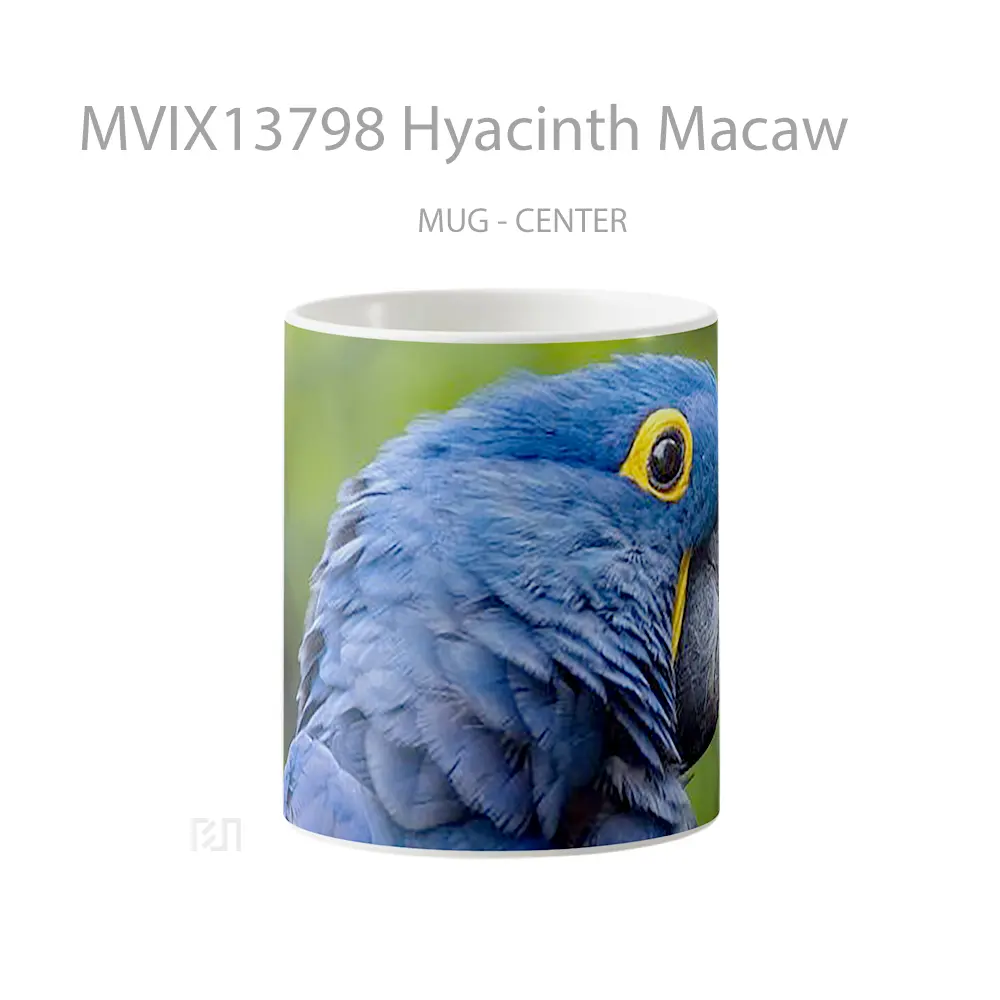 Mug Hyacinth Macaw Gelas Keramik Unik