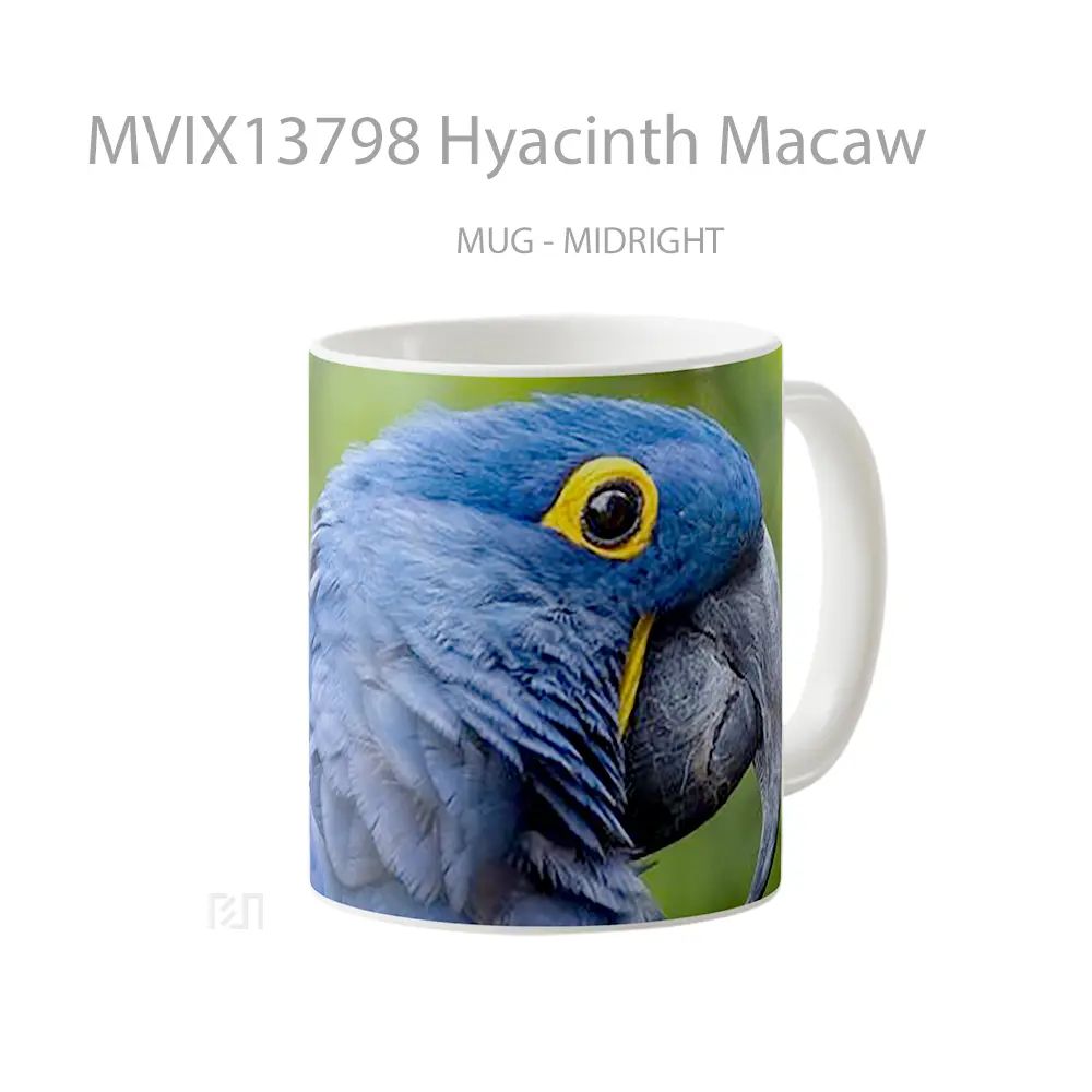 Mug Hyacinth Macaw Gelas Keramik Unik - All-side / Desain