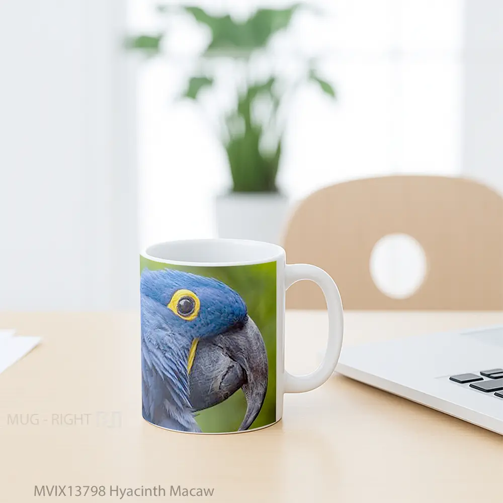 Mug Hyacinth Macaw Gelas Keramik Unik - All-side / Desain