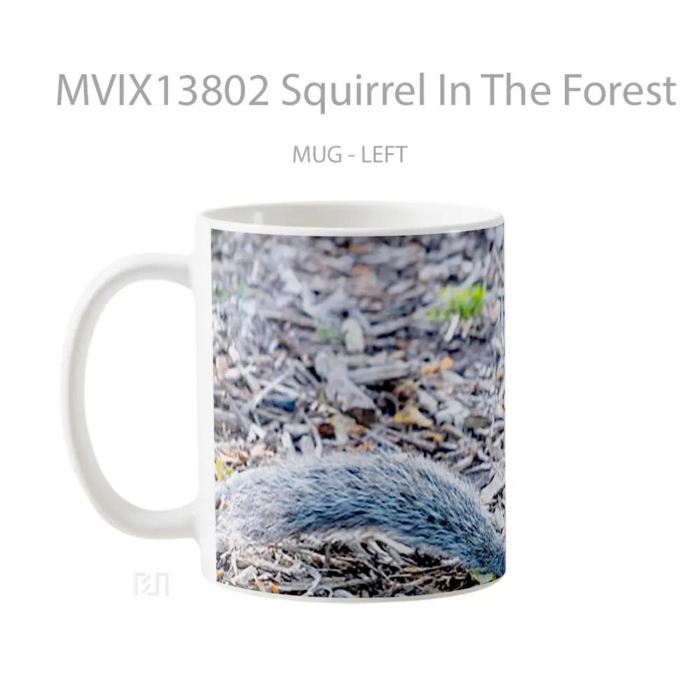 Mug Squirrel In The Forest Gelas Pemandangan Alam - All-side / Desain