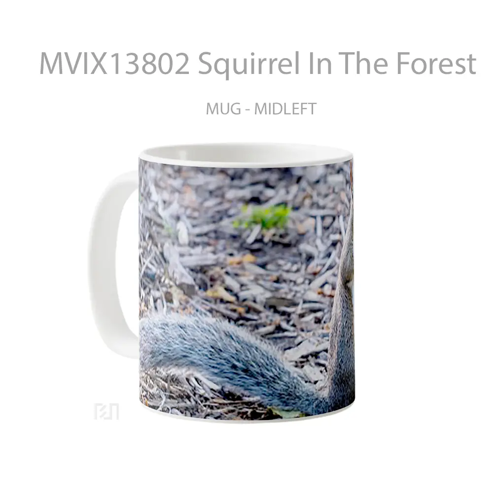 Mug Squirrel In The Forest Gelas Pemandangan Alam - All-side / Desain