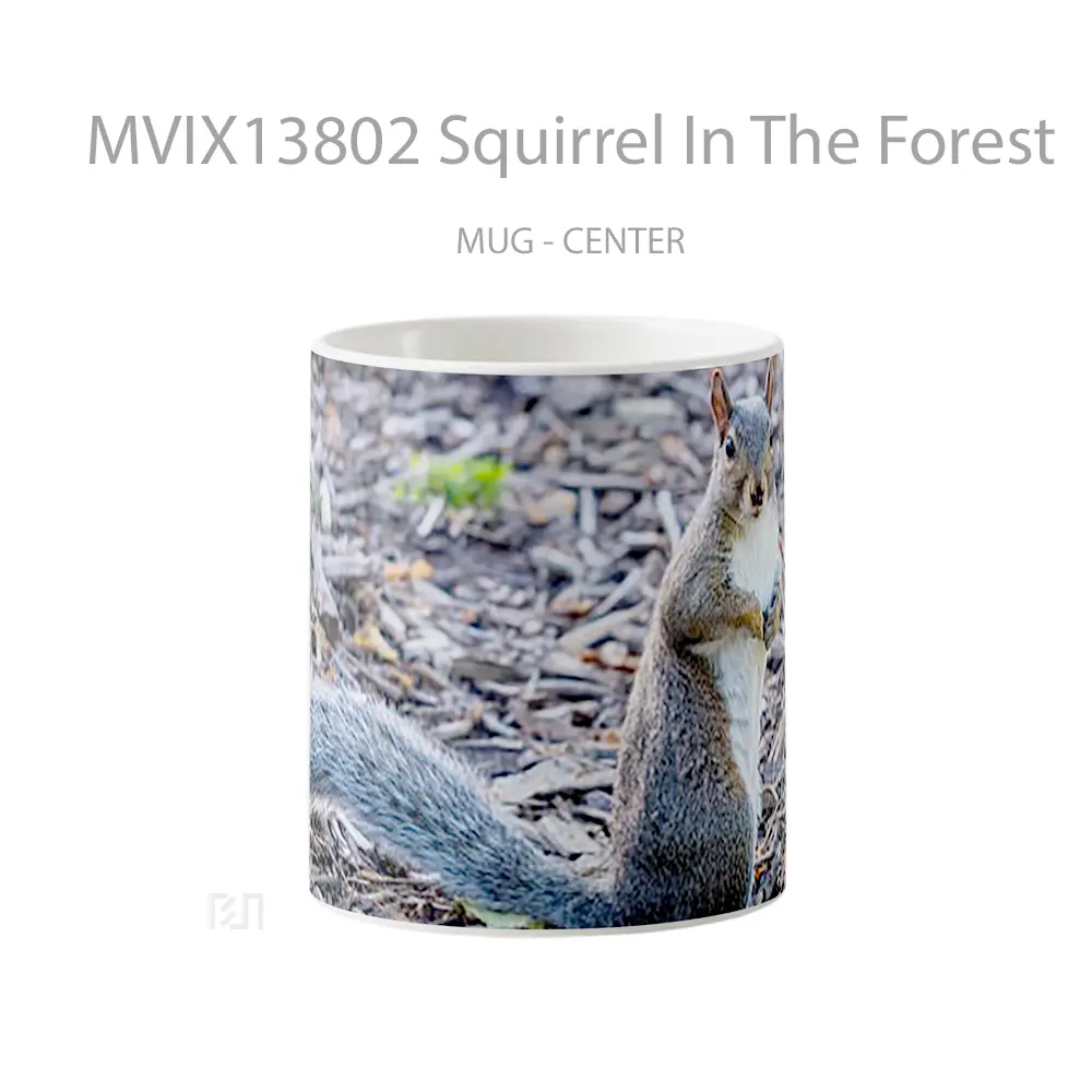 Mug Squirrel In The Forest Gelas Pemandangan Alam