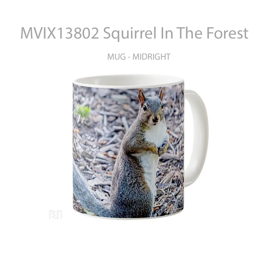 Mug Squirrel In The Forest Gelas Pemandangan Alam - All-side / Desain