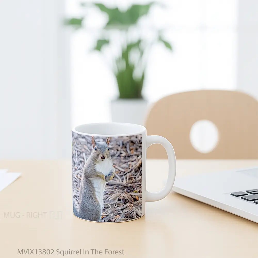Mug Squirrel In The Forest Gelas Pemandangan Alam - All-side / Desain