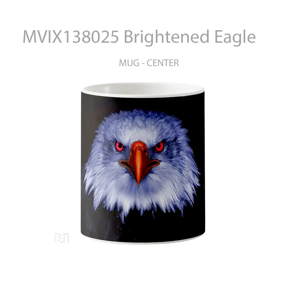 Mug Brightened Eagle Gelas Hewan Lucu