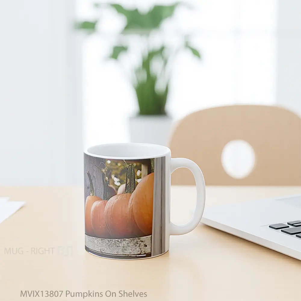 Mug Pumpkins On Shelves Gelas Keramik Unik - All-side / Desain