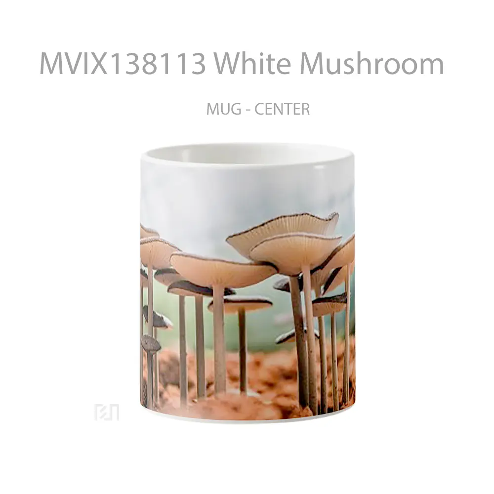 Mug White Mushroom Gelas Keramik Unik