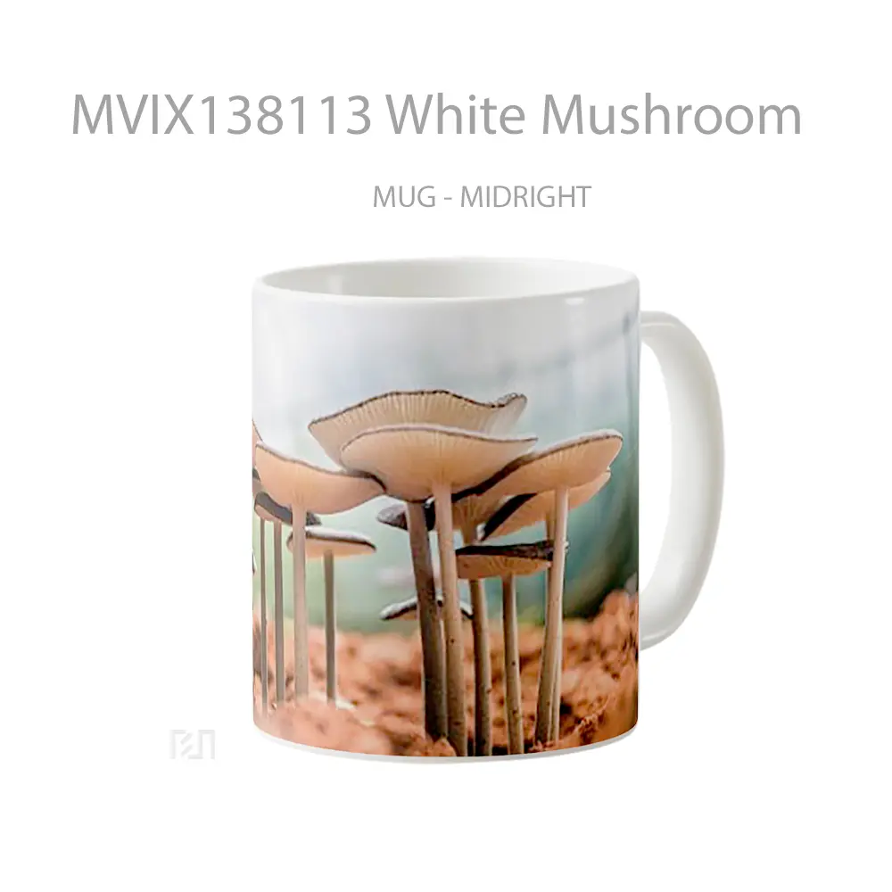 Mug White Mushroom Gelas Keramik Unik - All-side / Desain