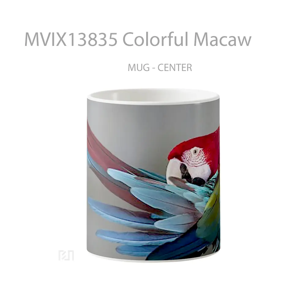 Mug Colorful Macaw Gelas Keramik Unik