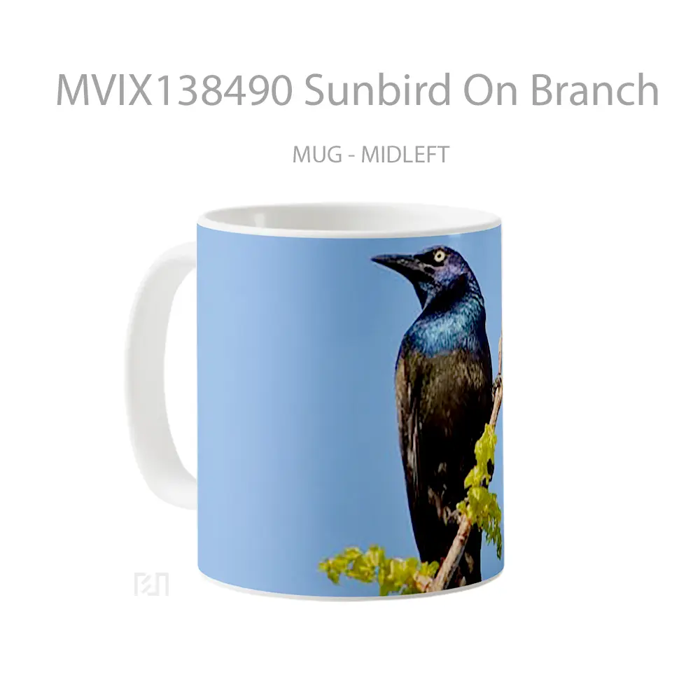 Mug Sunbird On Branch Gelas Keramik Unik - All-side / Desain
