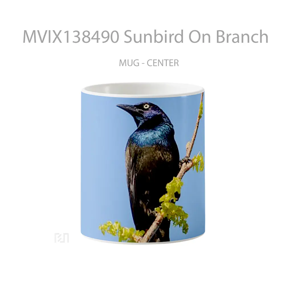 Mug Sunbird On Branch Gelas Keramik Unik