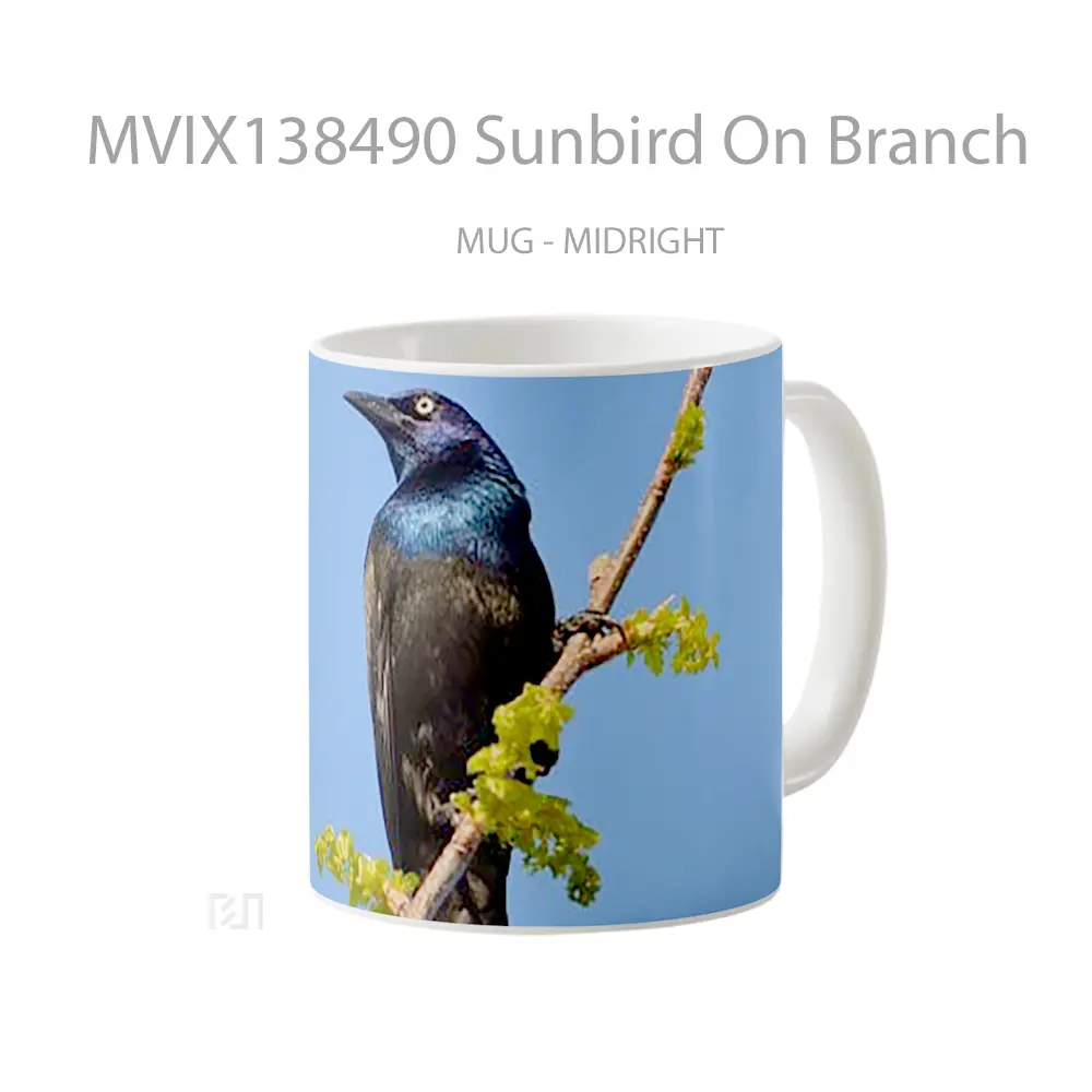 Mug Sunbird On Branch Gelas Keramik Unik - All-side / Desain