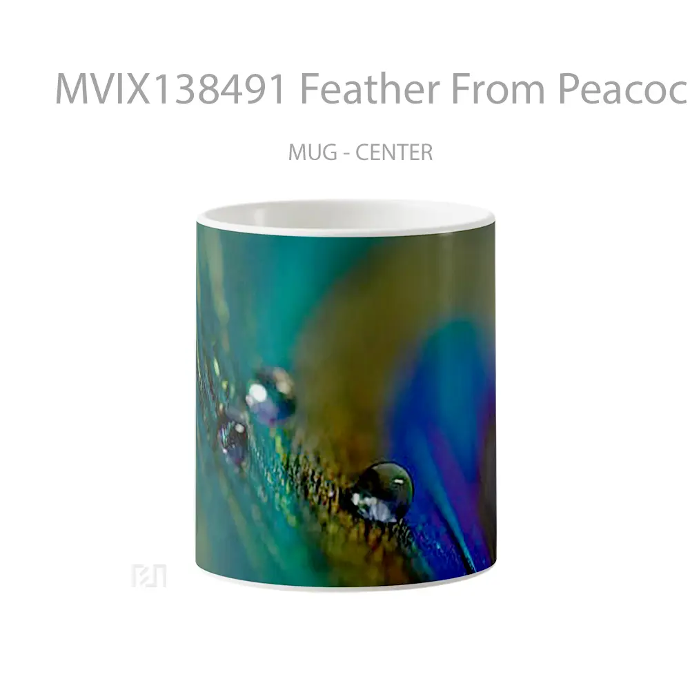 Mug Feather From Peacock Gelas Keramik Unik