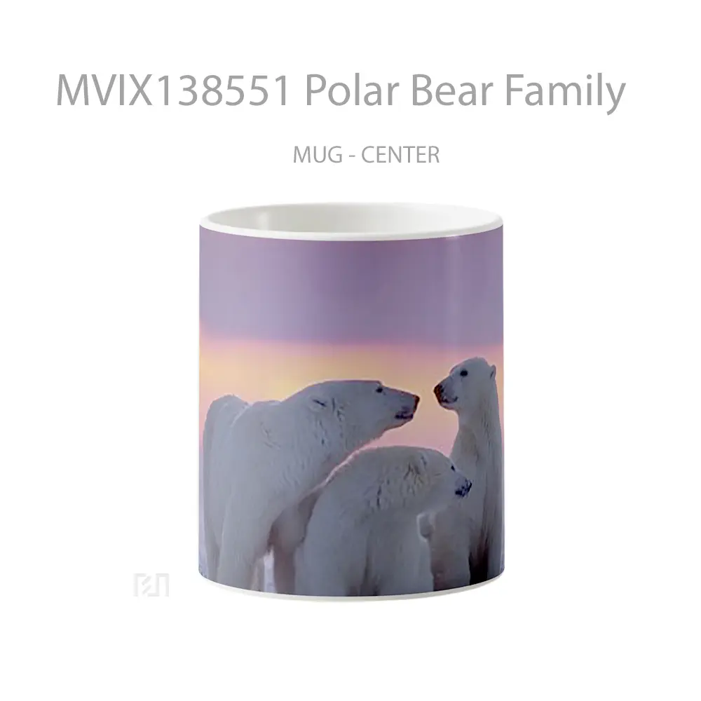 Mug Polar Bear Family Gelas Hewan Lucu