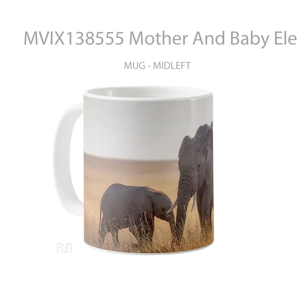 Mug Mother And Baby Elephant Gelas Hewan Lucu - All-side / Desain