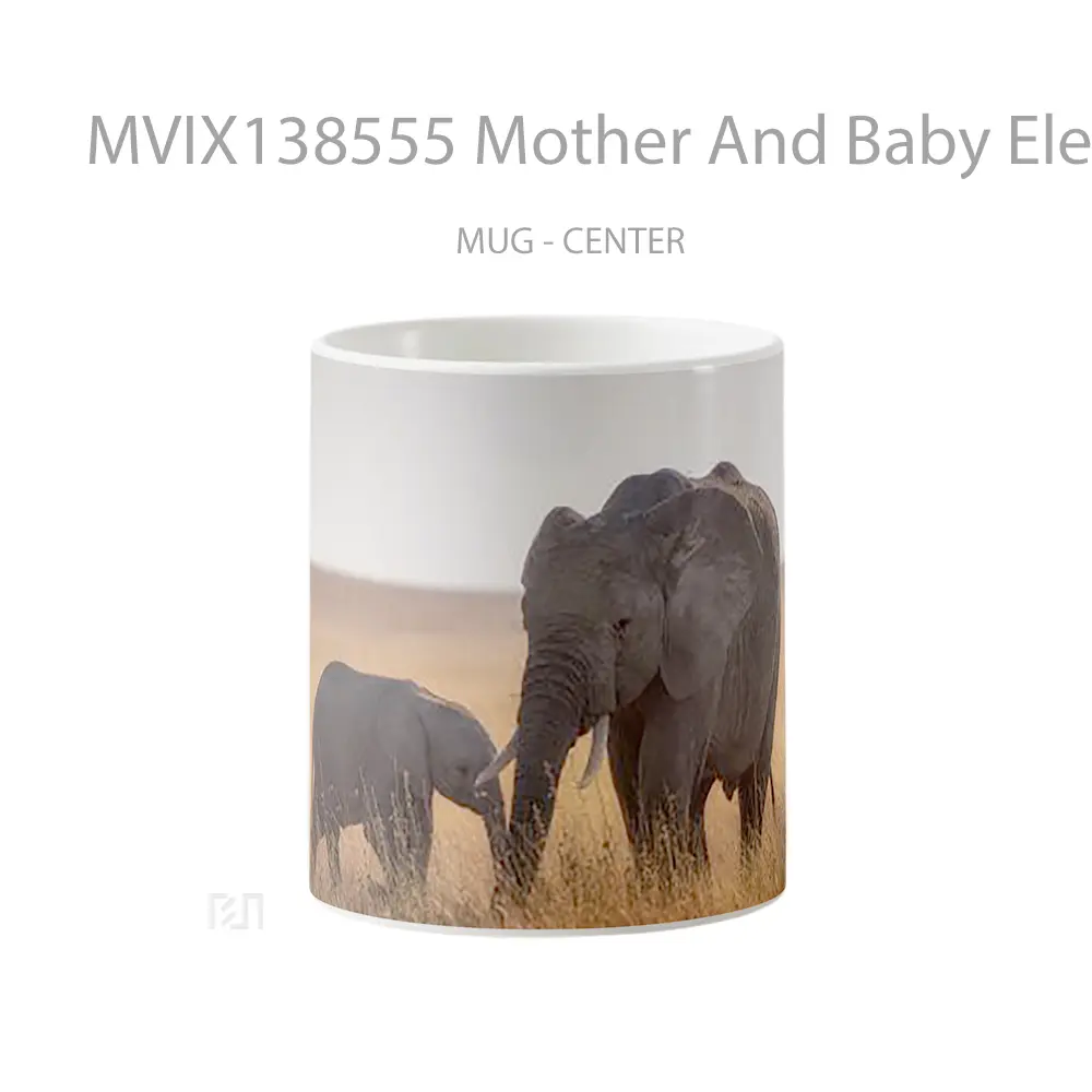 Mug Mother And Baby Elephant Gelas Hewan Lucu