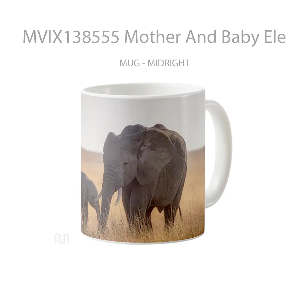 Mug Mother And Baby Elephant Gelas Hewan Lucu - All-side / Desain