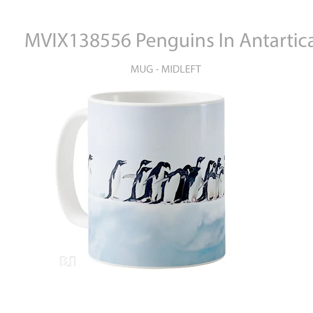 Mug Penguins In Antartica Gelas Keramik Unik - All-side / Desain