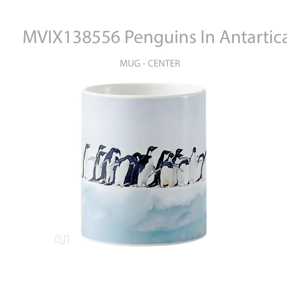 Mug Penguins In Antartica Gelas Keramik Unik