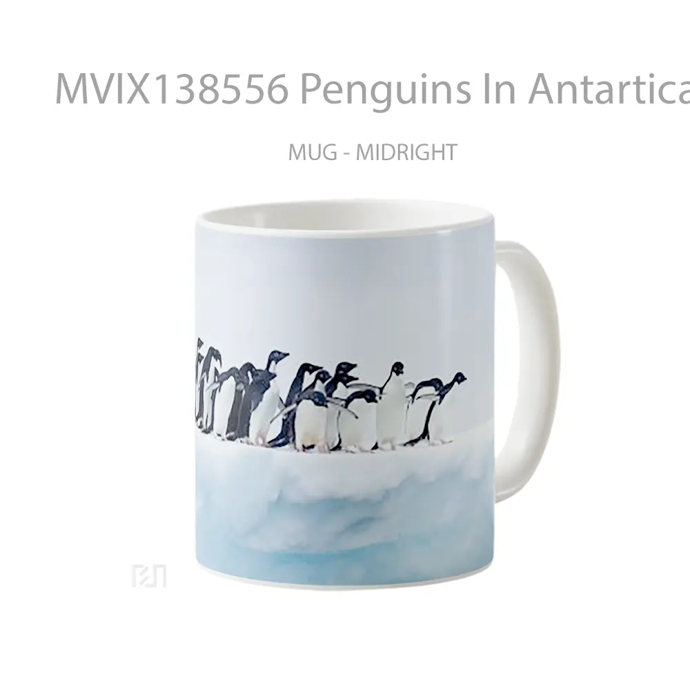 Mug Penguins In Antartica Gelas Keramik Unik - All-side / Desain