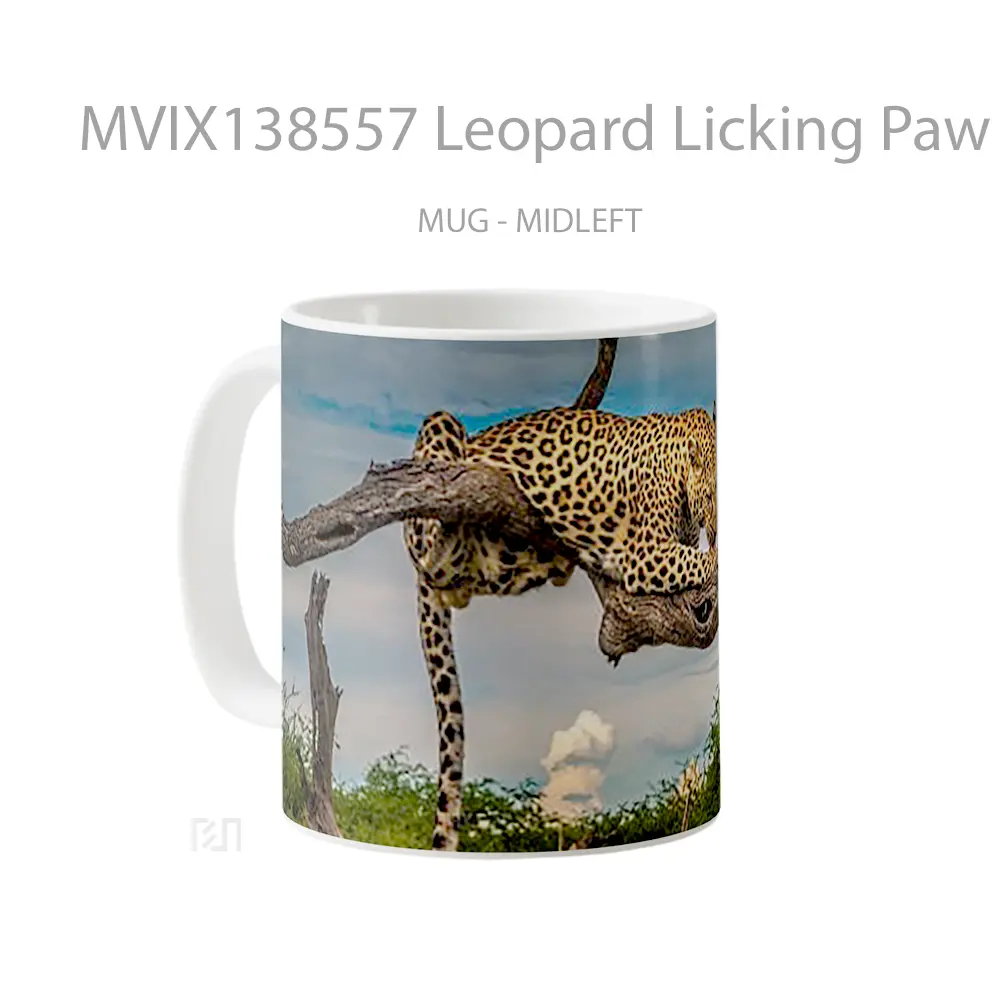 Mug Leopard Licking Paw Gelas Keramik Unik - All-side / Desain