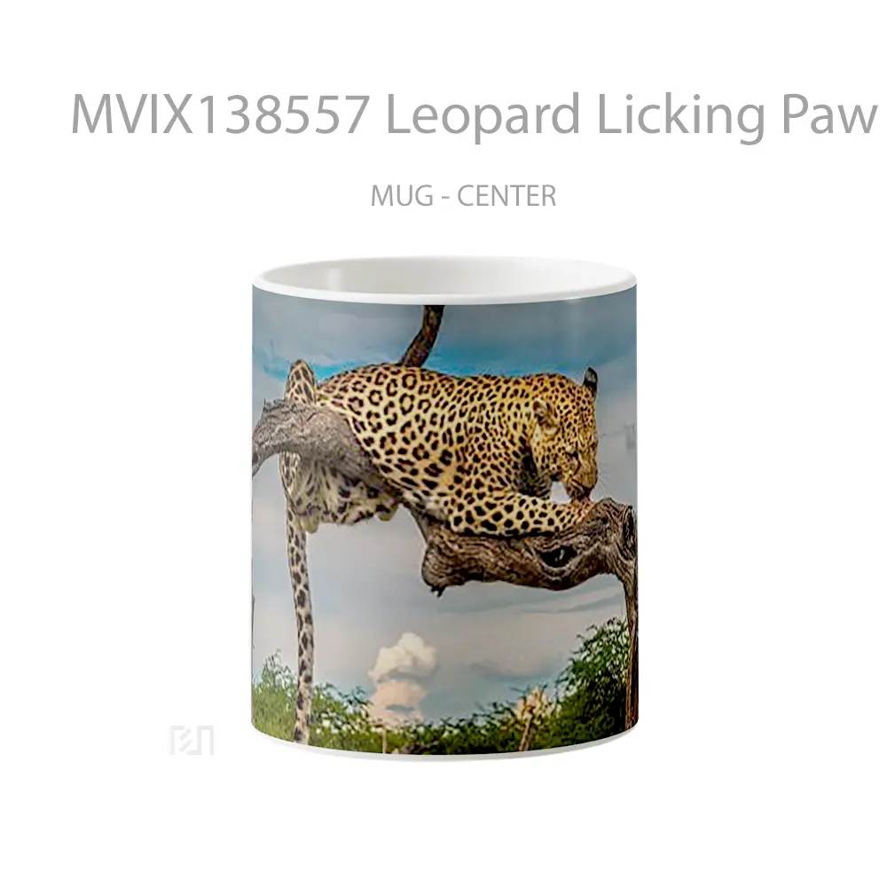 Mug Leopard Licking Paw Gelas Keramik Unik