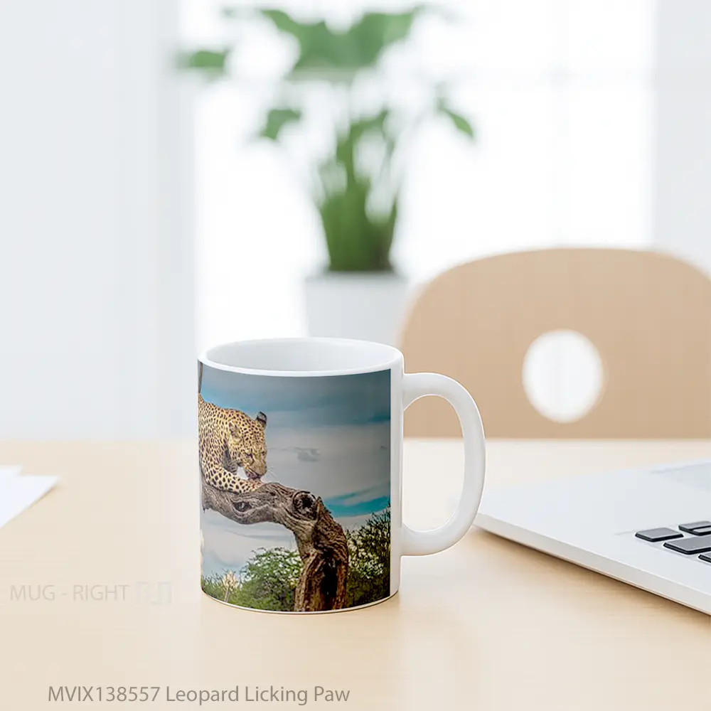 Mug Leopard Licking Paw Gelas Keramik Unik - All-side / Desain