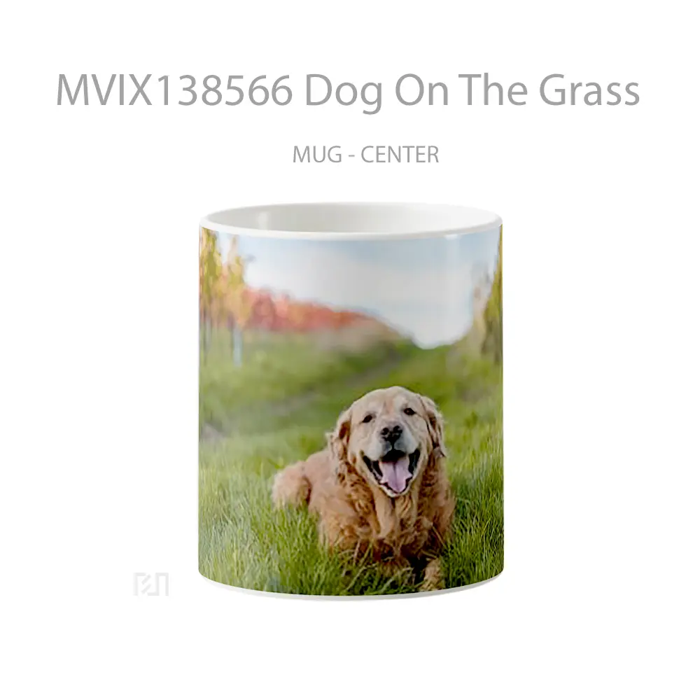 Mug Dog On The Grass Gelas Hewan Lucu