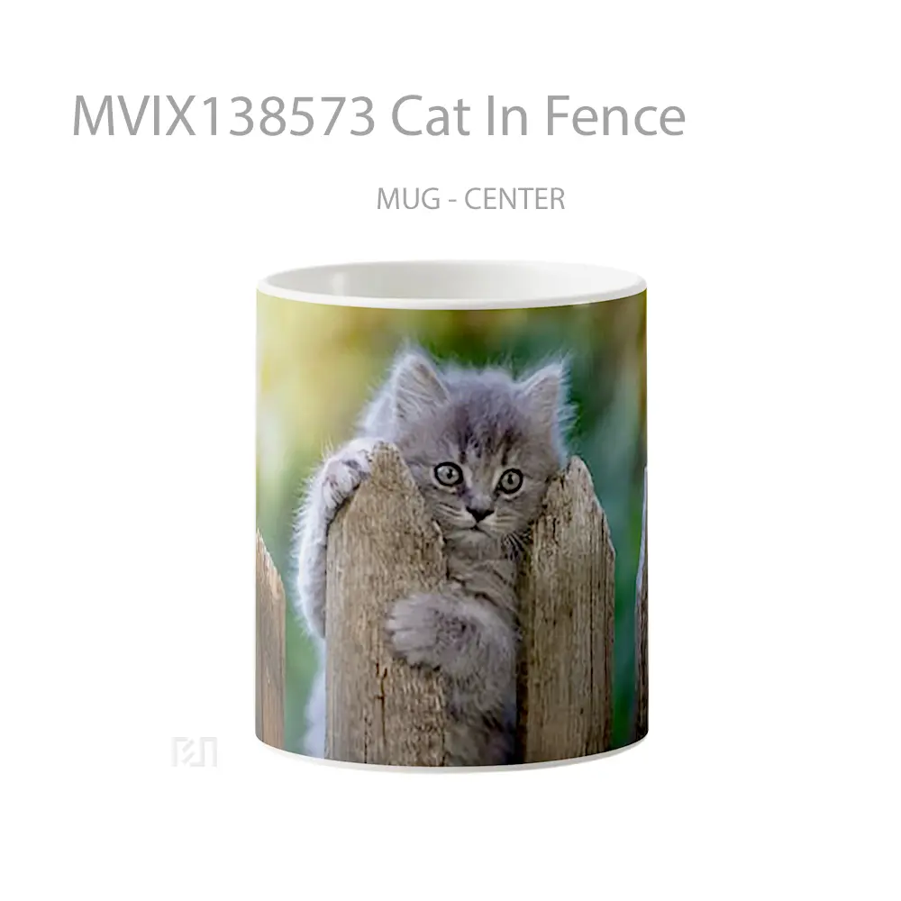 Mug Cat In Fence Gelas Hewan Lucu