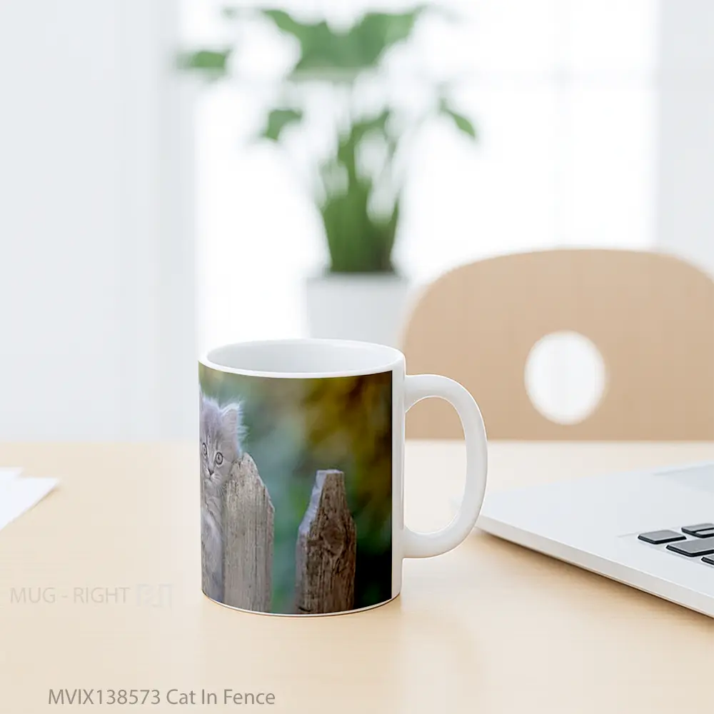 Mug Cat In Fence Gelas Hewan Lucu - All-side / Desain