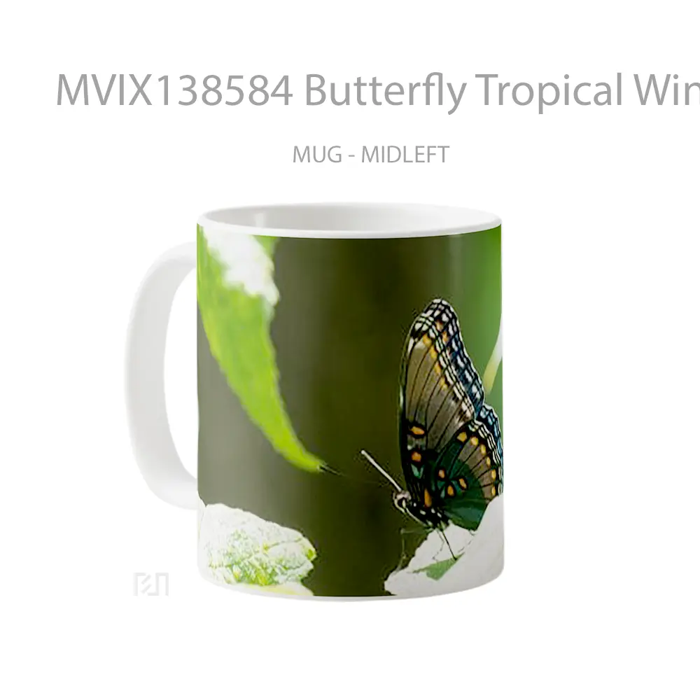 Mug Butterfly Tropical Wings Gelas Hewan Lucu - All-side / Desain