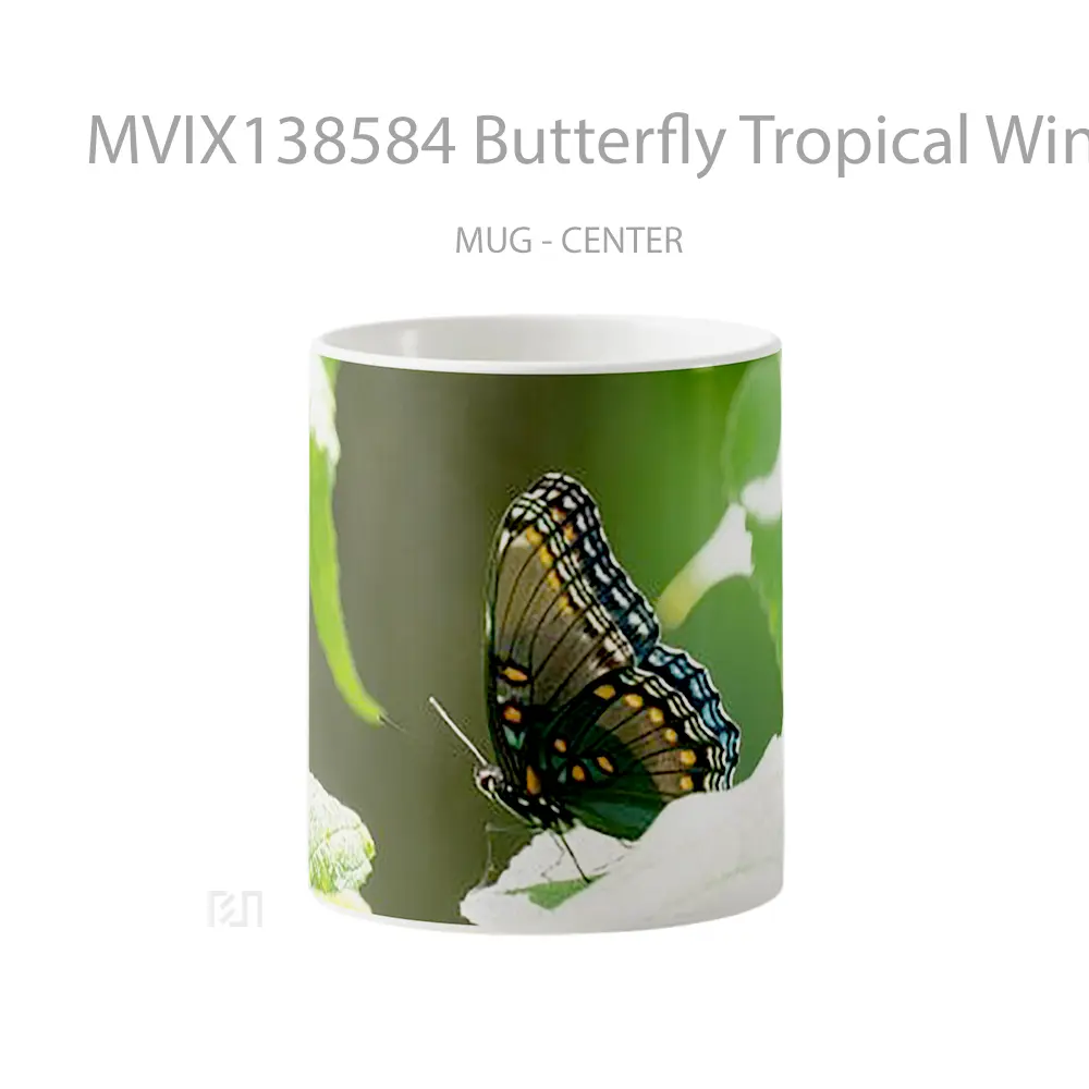 Mug Butterfly Tropical Wings Gelas Hewan Lucu