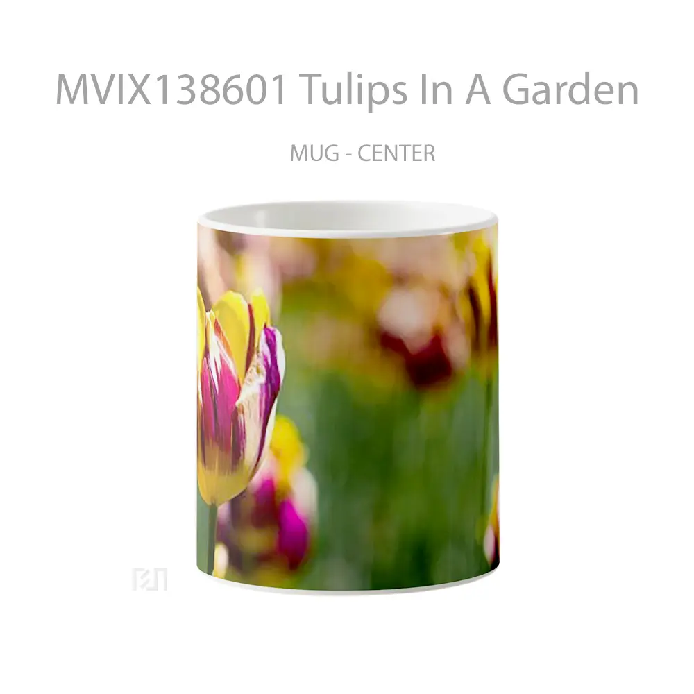 Mug Tulips In A Garden Gelas Pemandangan Alam