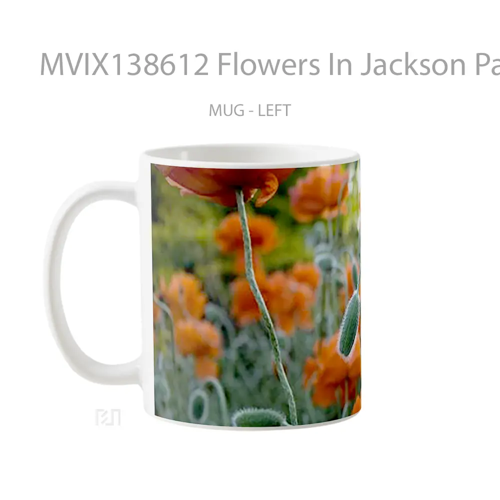 Mug Flowers In Jackson Park Gelas Pemandangan Alam - All-side / Desain