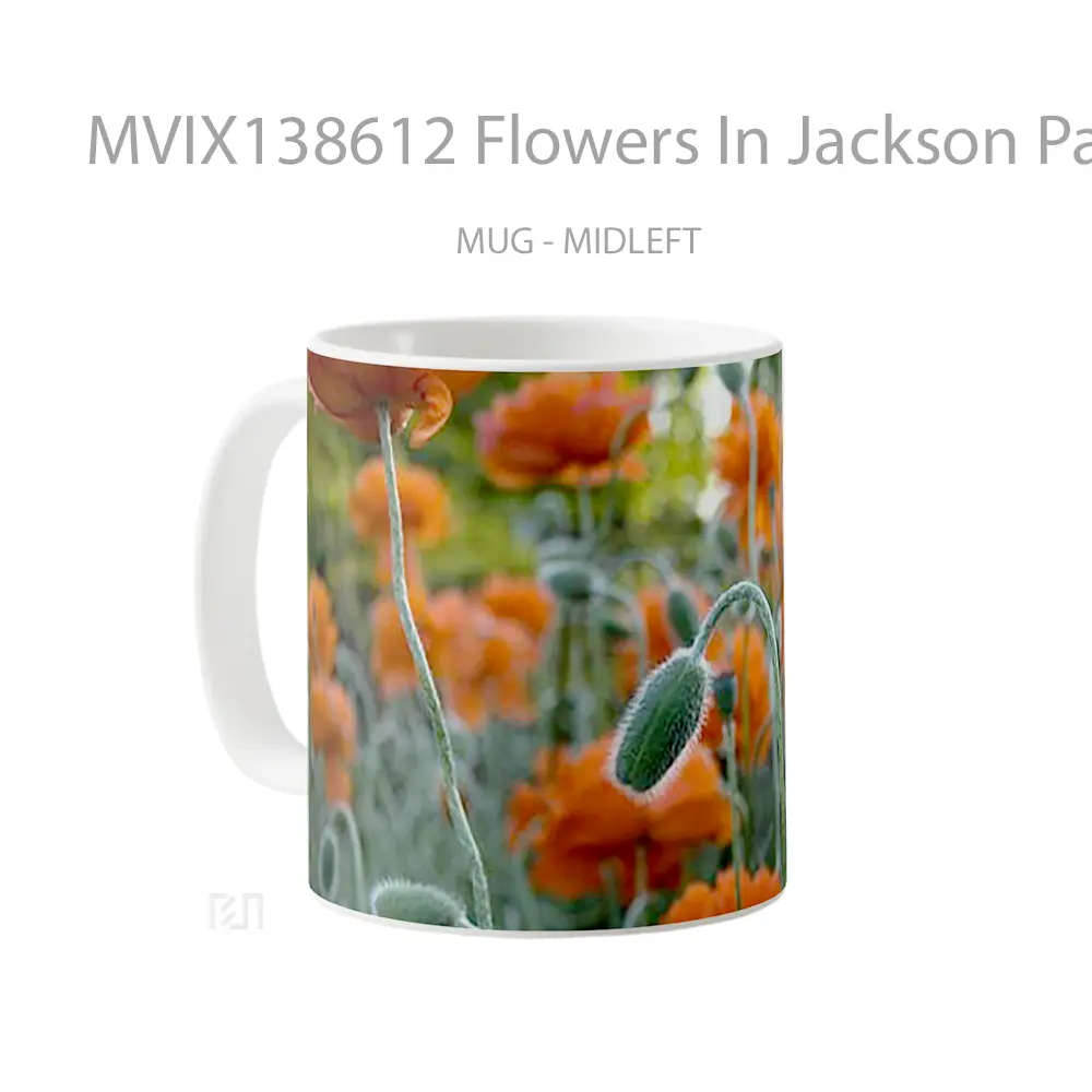 Mug Flowers In Jackson Park Gelas Pemandangan Alam - All-side / Desain