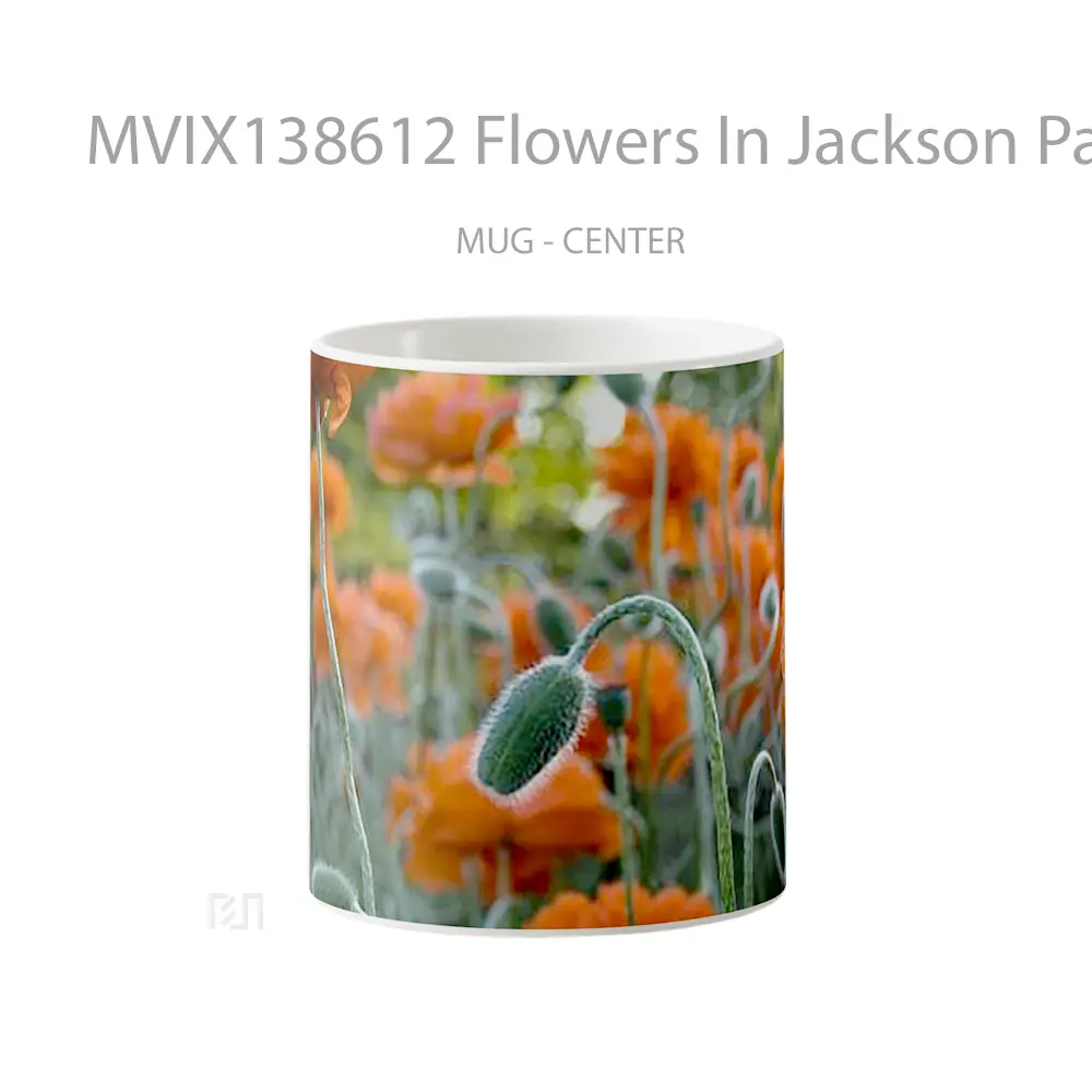 Mug Flowers In Jackson Park Gelas Pemandangan Alam
