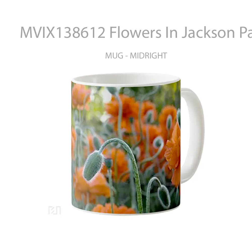 Mug Flowers In Jackson Park Gelas Pemandangan Alam - All-side / Desain