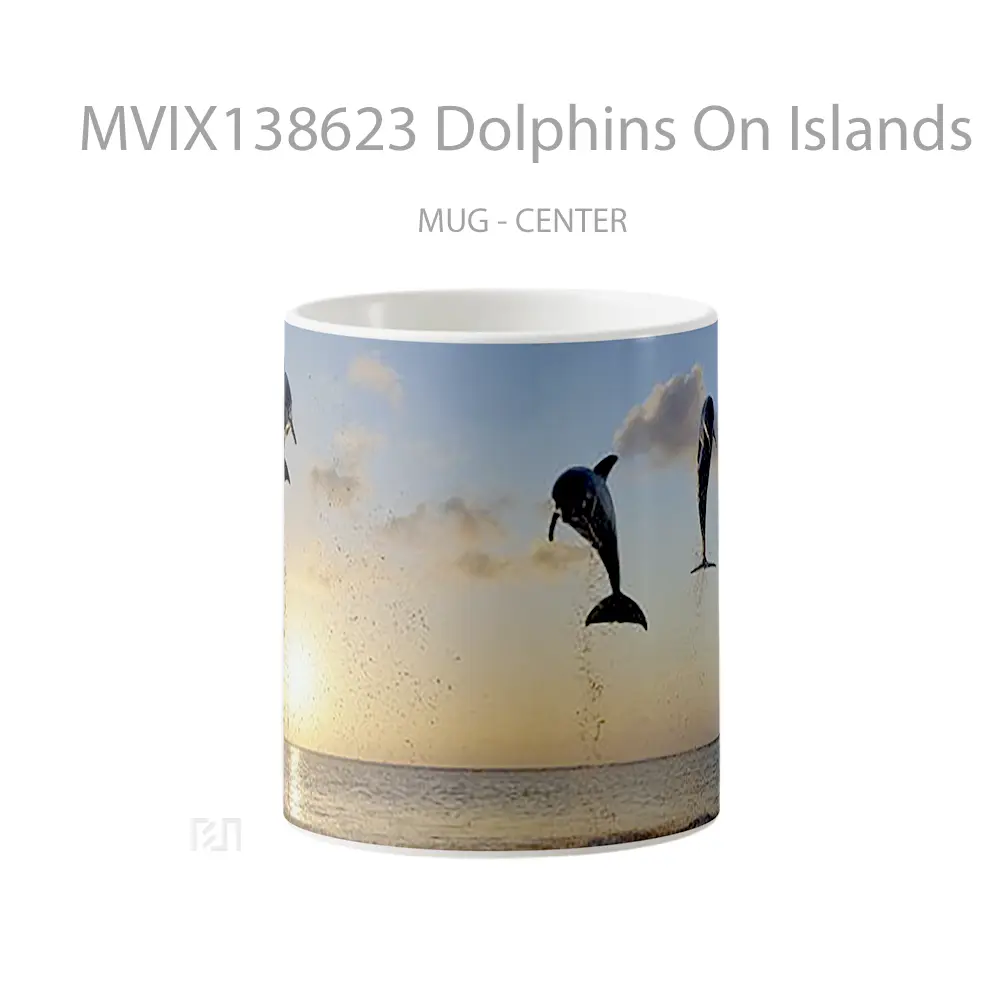 Mug Dolphins On Islands Gelas Hewan Lucu