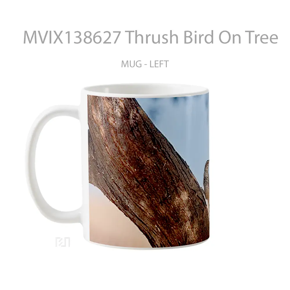 Mug Thrush Bird On Tree Gelas Hewan Lucu - All-side / Desain