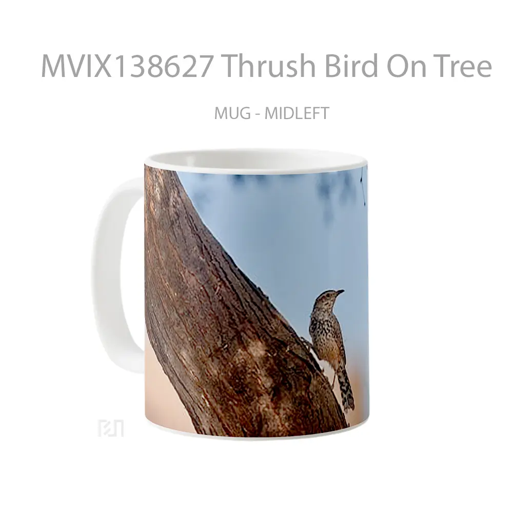Mug Thrush Bird On Tree Gelas Hewan Lucu - All-side / Desain