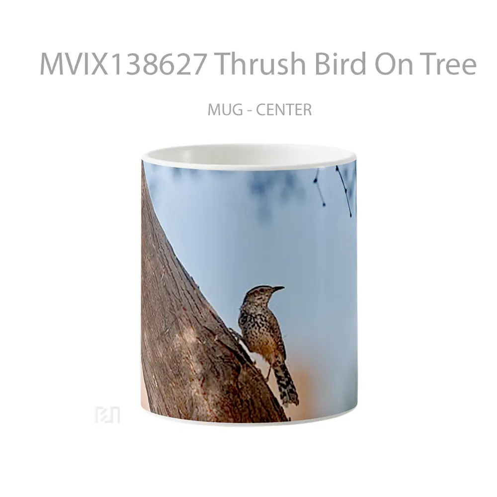 Mug Thrush Bird On Tree Gelas Hewan Lucu