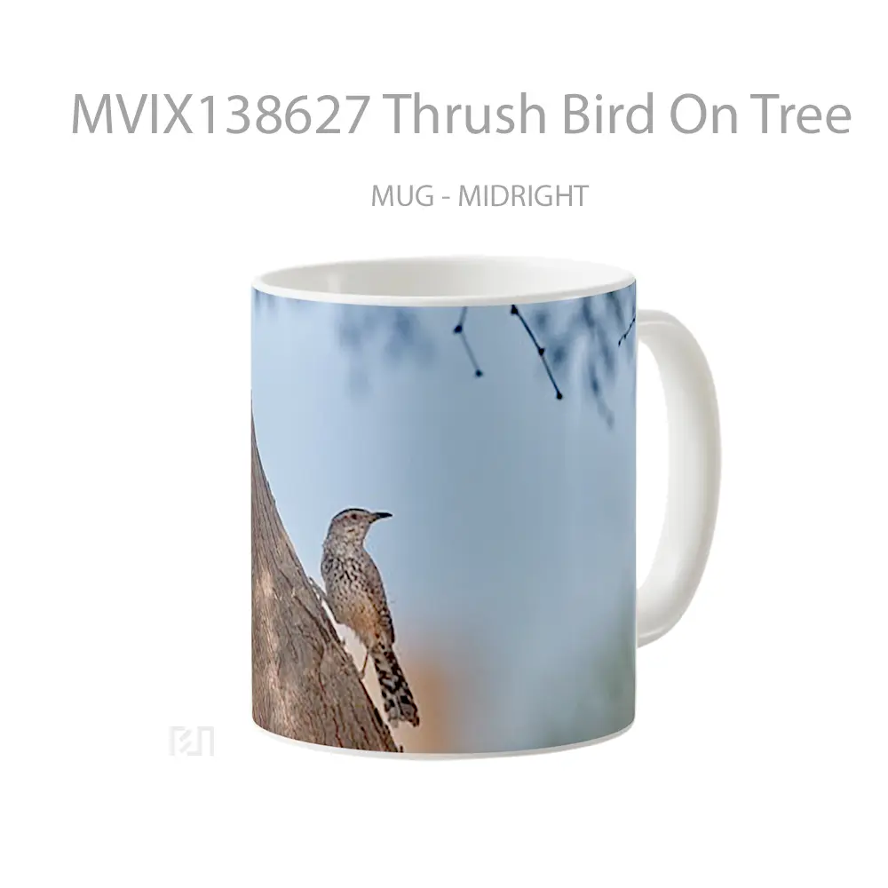 Mug Thrush Bird On Tree Gelas Hewan Lucu - All-side / Desain