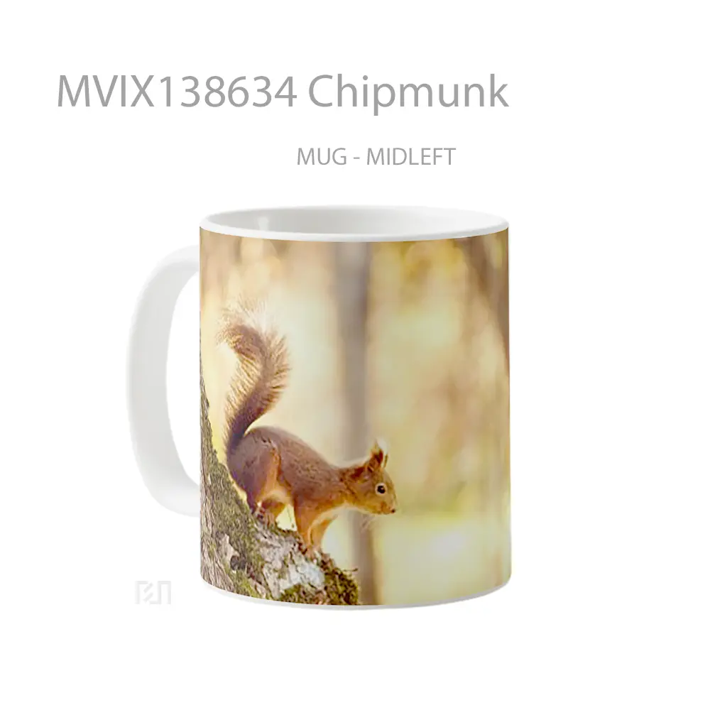 Mug Chipmunk Gelas Keramik Unik - All-side / Desain