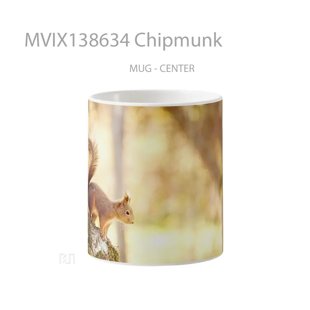 Mug Chipmunk Gelas Keramik Unik