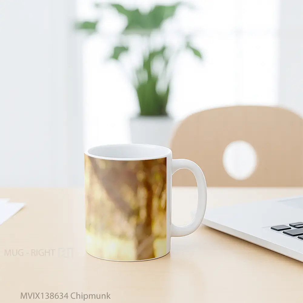 Mug Chipmunk Gelas Keramik Unik - All-side / Desain