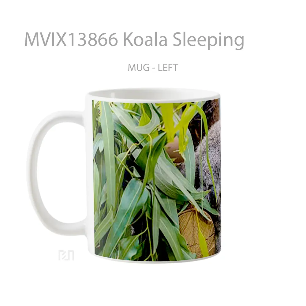 Mug Koala Sleeping Gelas Hewan Lucu - All-side / Desain